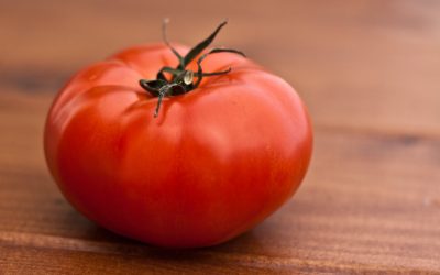 Wat een tomaat kan bijdragen aan productiviteit
